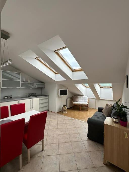 Luna Apartments Krakkó Kültér fotó